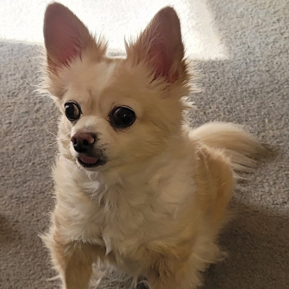 Jorge - Picture 2 of 4